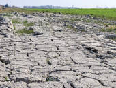 AGRICOLTURA: in difficoltà tra costi in aumenti, produzioni di diminuzione, avversità climatiche