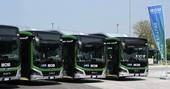  TREVISO: Mom, 18 nuovi autobus green sulle strade trevigiane