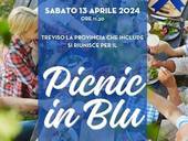 ULSS 2: autismo "Picnic in Blu"