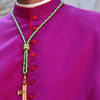 Ingresso Mons Dal Cin Loreto (6)
