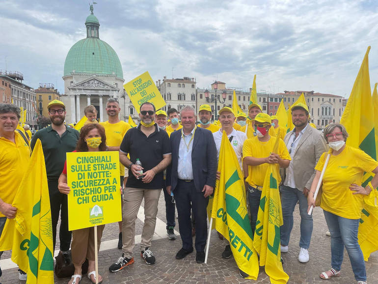Agricoltori trevigiani a Venezia: "Stop cinghiali!"