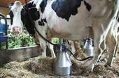 AGRICOLTURA: latte, domanda mondiale in aumento