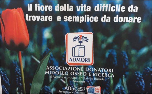 Al via in Veneto la prima campagna informativa per donare midollo e sangue cordonale