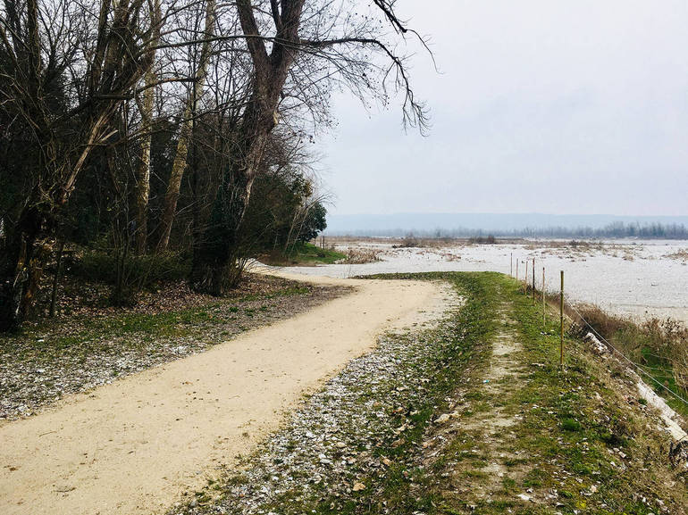ATTUALITÀ: nel 2019 in bici lungo il Piave