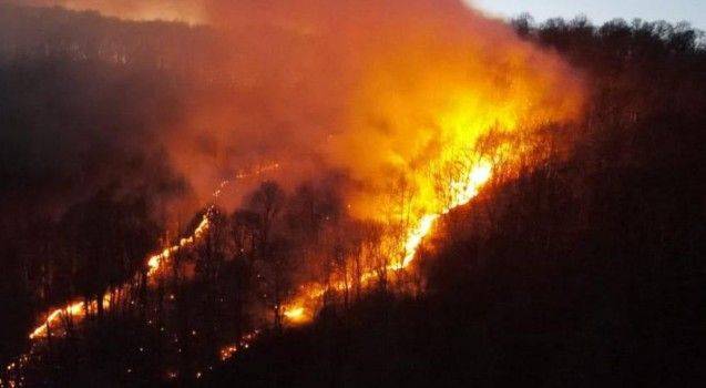 BELLUNO E VICENZA: dichiarato lo stato di grave pericolosità per gli incendi boschivi 
