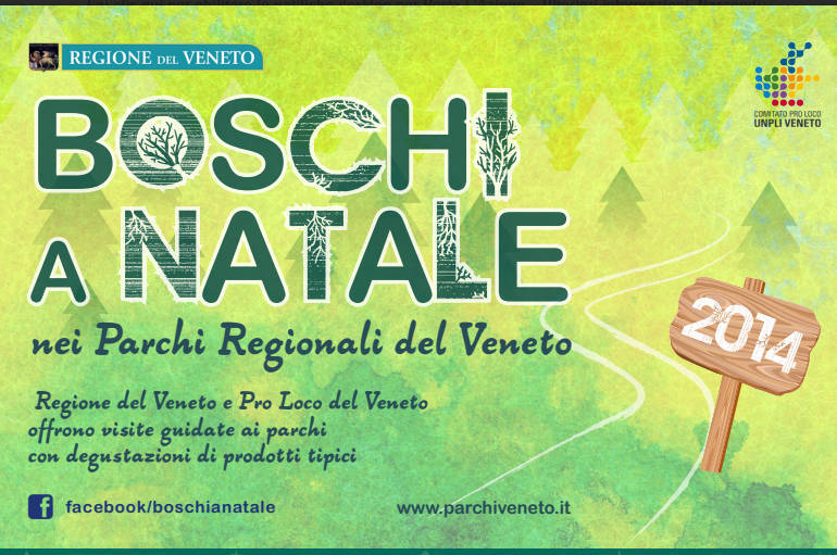 "Boschi a Natale": visite guidate gratuite nei parchi del Veneto