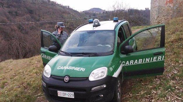 Carabinieri Forestali: "Biodiversità in corsia" per una Befana senza carbone