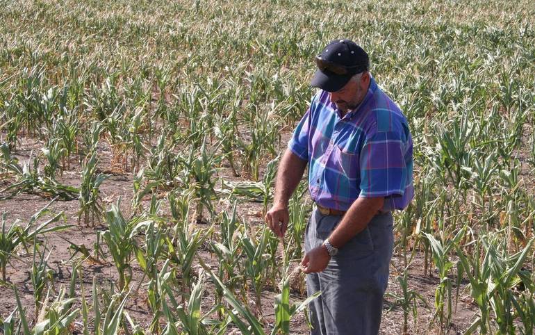Commissione Ue: agevolazioni agli agricoltori per far fronte alla siccità