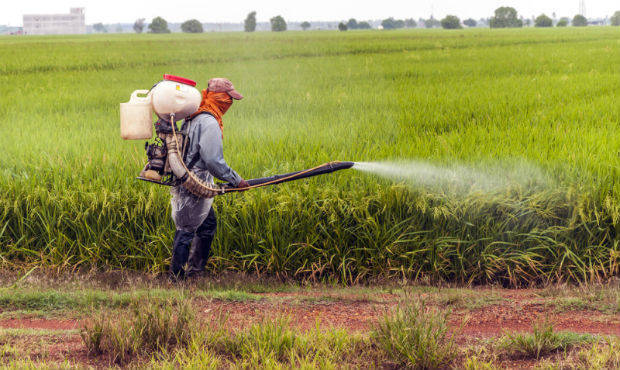 CONEGLIANO: pesticidi e salute, convegno giovedì 19