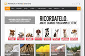 Da oggi la Provincia di Treviso ha un nuovo sito internet