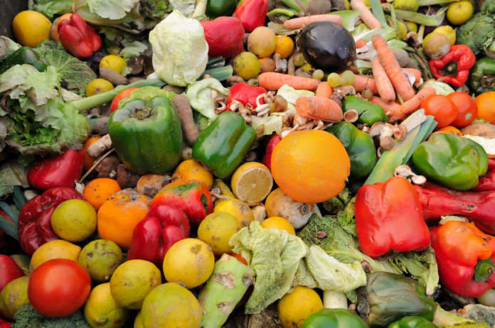 FAO: “Il 14% degli alimenti vanno persi o sprecati. Ridurre gli sprechi di cibo”