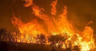 Incendi Amazzonia: Repam, “prendere coscienza delle gravi minacce di questa situazione”