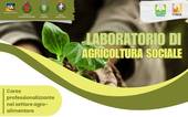 OCCUPAZIONE: laboratorio di agricoltura sociale a Sernaglia