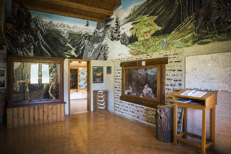 PIAN CANSIGLIO: riapre il museo di ecologia "Zanardo"