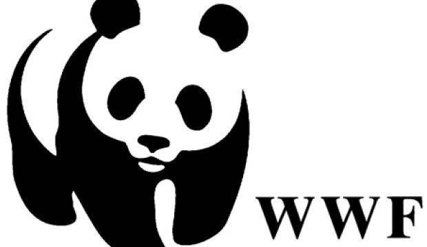 POLITICHE 2022: il duro giudizio di WWF Italia sull'ultima legislatura