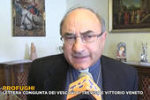 Profughi. Intervista al vescovo Corrado - Video
