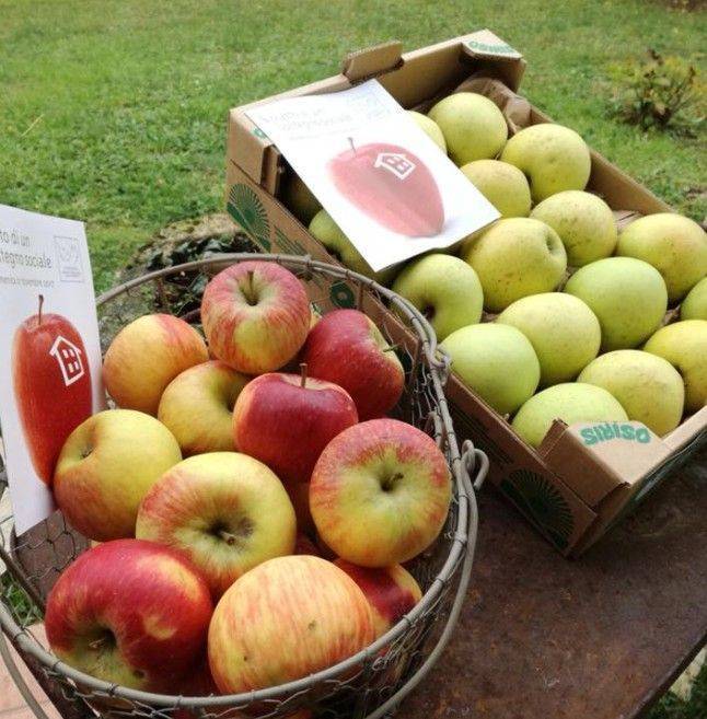 SOLIDARIETÀ: il 14 novembre tornano le mele per le comunità alloggio per disabili