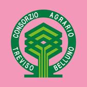 TREVISO-BELLUNO: bilancio semestrale, +37,8 % per il Consorzio Agrario