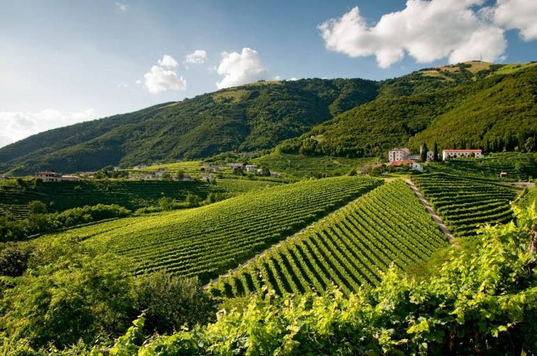 Veneto: lanciata candidatura Unesco colline del Prosecco