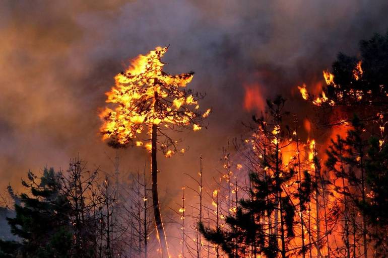 VENETO: stato di grave pericolosità per gli incendi boschivi