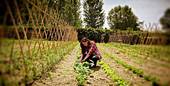 VENETO: un'azienda agricola su cinque condotta da donne