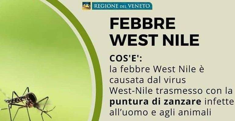 VENETO: West Nile Virus, i consigli della Regione Veneto
