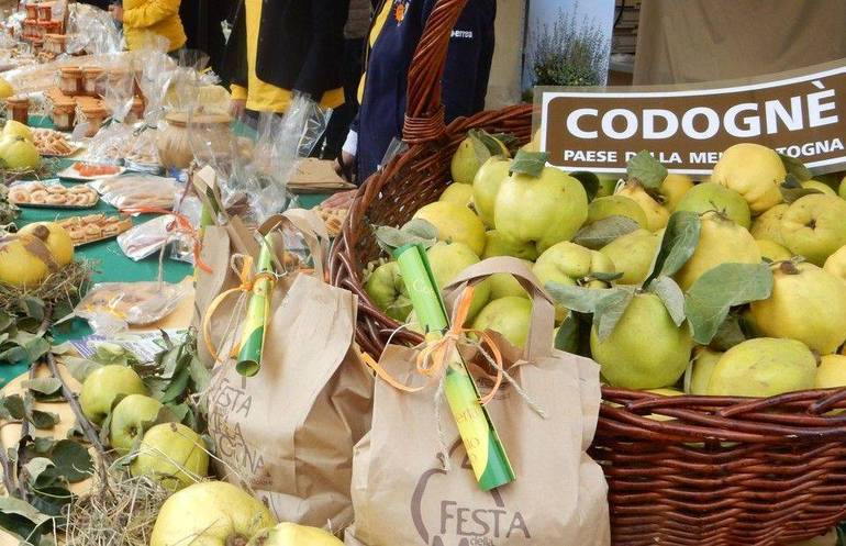 CODOGNÈ: festa della mela cotogna