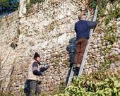 COLLALTO: pulizia delle mura del castello
