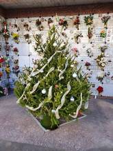 SAN FIOR: un albero di Natale nei tre cimiteri comunali