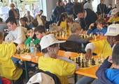 SAN PIETRO DI FELETTO: scacchi, primo torneo per giovani e adulti 