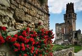 SUSEGANA: il castello San Salvatore aperto per visite