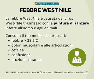 west nile 6