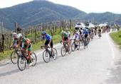 COL S. MARTINO: Trofeo Piva gara ciclistica internazionale