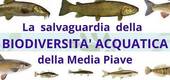 FONTIGO: convegno sulla fauna acquatica del Piave