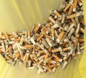 PIEVE: il sindaco Soldan sull'abbandono dei mozziconi di sigaretta