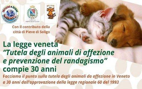 PIEVE: presentazione legge regionale su animali d’affezione e randagismo